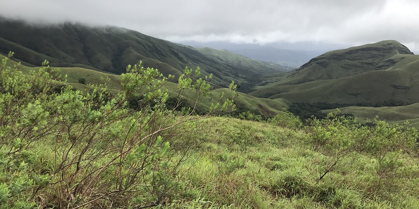 A picture taken at the verdant Kurdemukh National Park with hill stations in the background