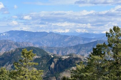 Green trees on a mountain beneath fluffy white clouds and a vibrant blue sky.