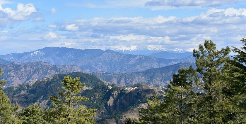 Green trees on a mountain beneath fluffy white clouds and a vibrant blue sky.