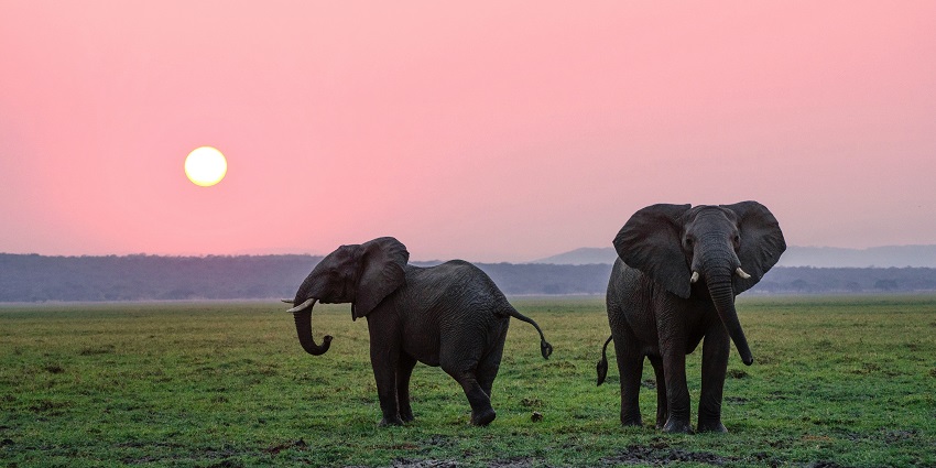 Kuldiha Wildlife Sanctuary, a paradise for nature and wildlife lovers, is a must-visit.