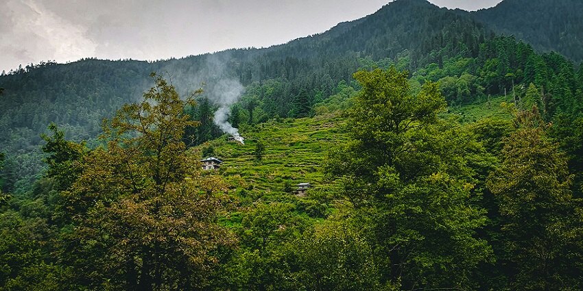 Image of Kullu surrounded by green trees on mountain during daytime