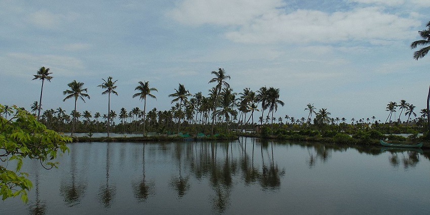 Kumbalangi is an island that has scenic backwaters and interconnected canals