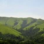 Kudremukh National Park is home to numerous rare and valuable flora species.