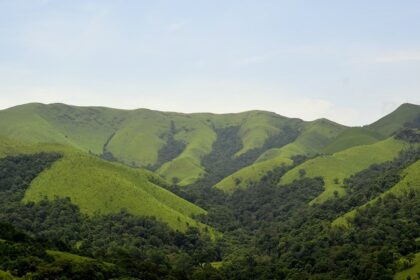 Kudremukh National Park is home to numerous rare and valuable flora species.