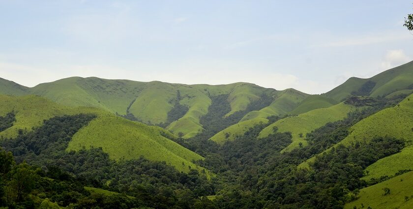 Kudremukh National Park is home to numerous rare and valuable flora species.