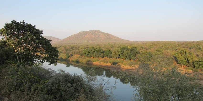 View of the Kuno River flowing through lush greenery in Kuno National Park, India, a national park near Bhopal.