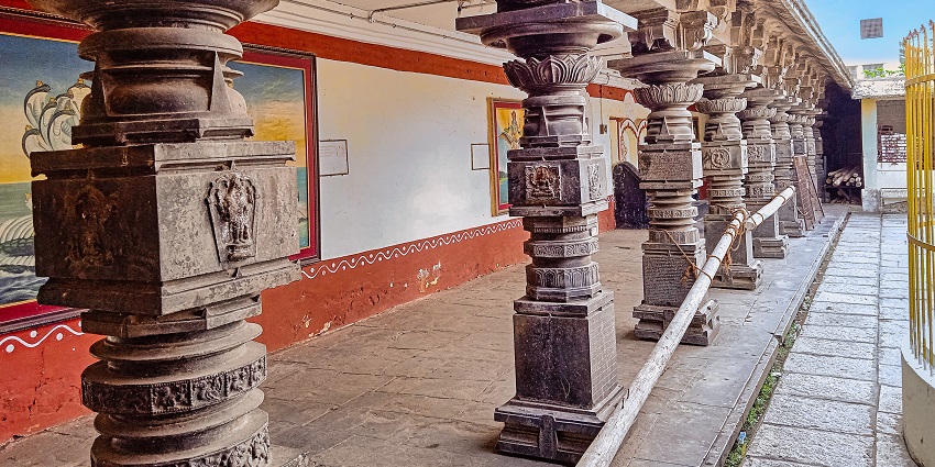 Close-up of intricate carvings on the Kurmanatha Swamy Temple in Srikurmam, Andhra Pradesh.