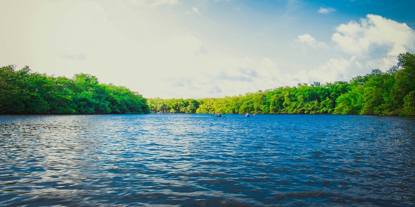 A serene lake view with calm waters reflecting the surrounding trees and sky.