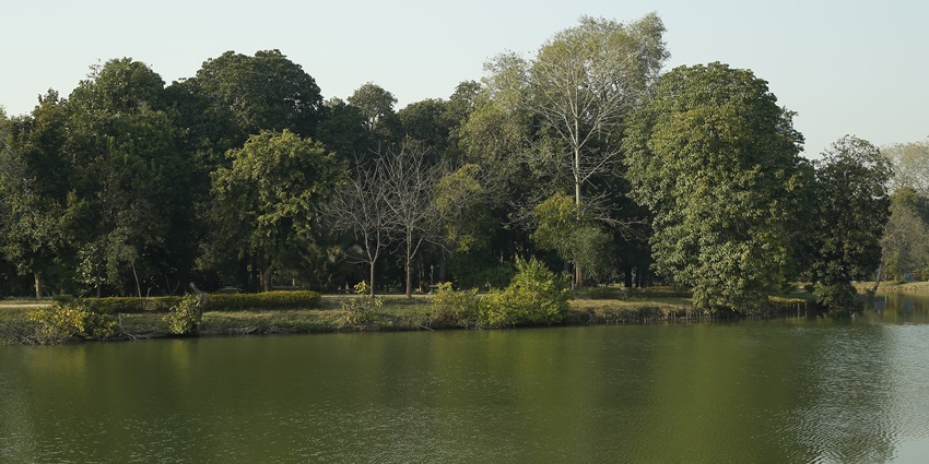 View of the serene surroundings at picturesque Lakhi Jungle.