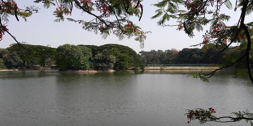 Lake at the Lalbagh Botanical Garden, decked with lush foliage, is a must-visit site.