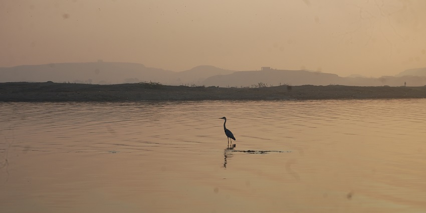 Panoramic view of the beautiful lake with a crane standing on water body during the evening