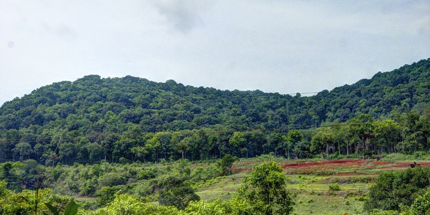 Lambasingi is often an overlooked hill station which is decked with some dense forests.