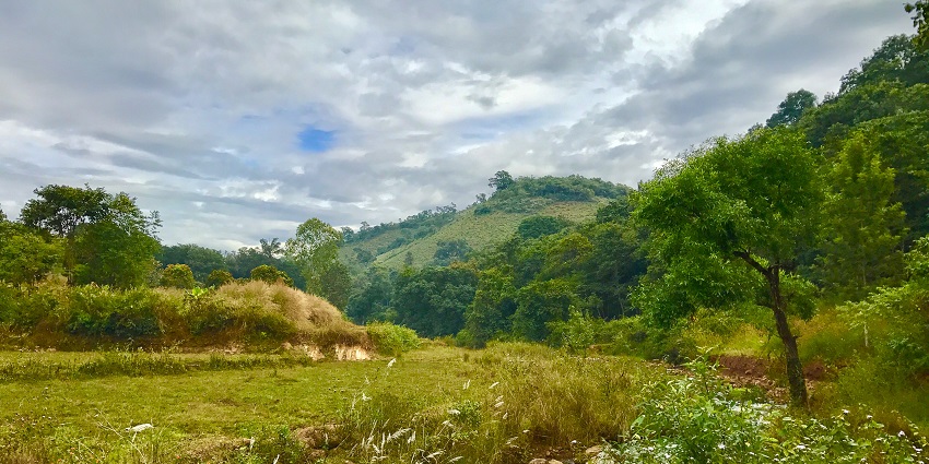 A tranquil scene in Lambasingi, with morning mist enveloping the verdant hills