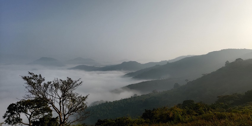 A picture of a scenic view from a mountain in Andhra Pradesh showing its misty surroundings