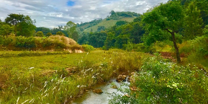 Lambasingi is the only place in South India where visitors can experience snowfall.