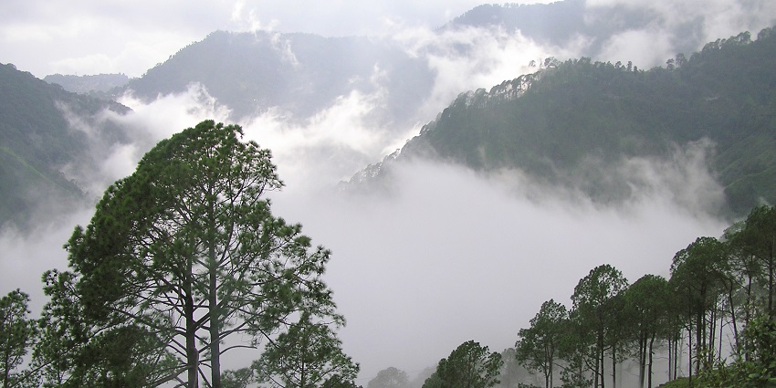 A picture of a cloud passing through a green hill with tall trees with other tall hills in the background
