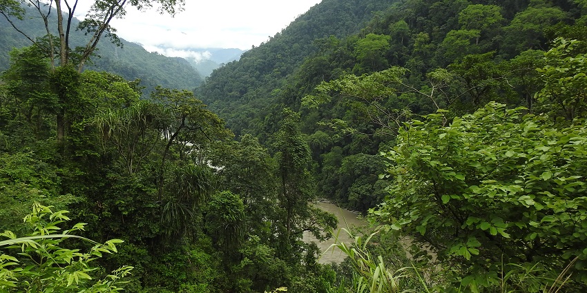 Kameng Valley, one of the most beautiful valleys in Arunachal Pradesh, is a perfect spot to relax.

