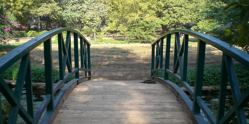 Image of Law Garden - a wooden bridge in the garden surrounded by lush greenery