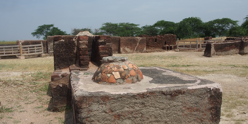 The last thing you can do is learn about Harappan Maritime activities on the premises.