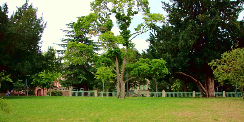 A view of the lush Leisure Valley park, one of the top places to visit in Chandigarh.