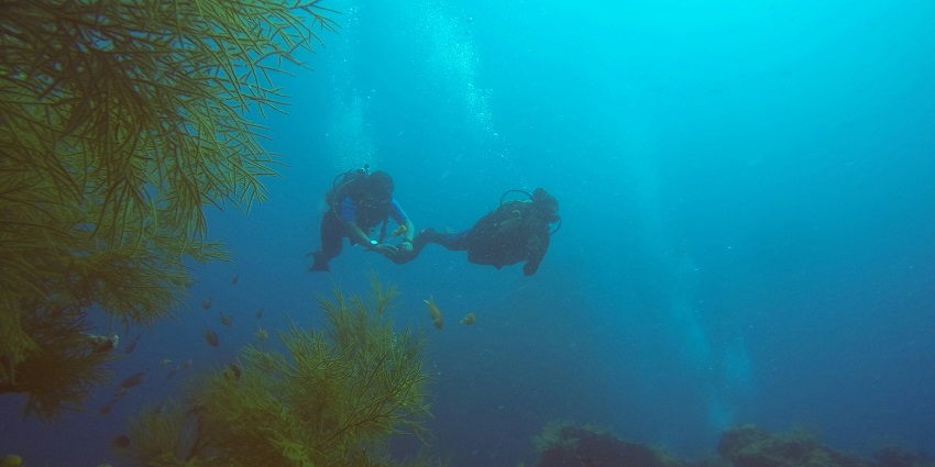 A man in a black wetsuit swimming in the sea while scuba diving in north Goa.