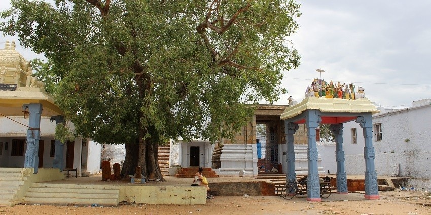 Devotees visit this temple to worship and seek blessings from Lord Narsimha