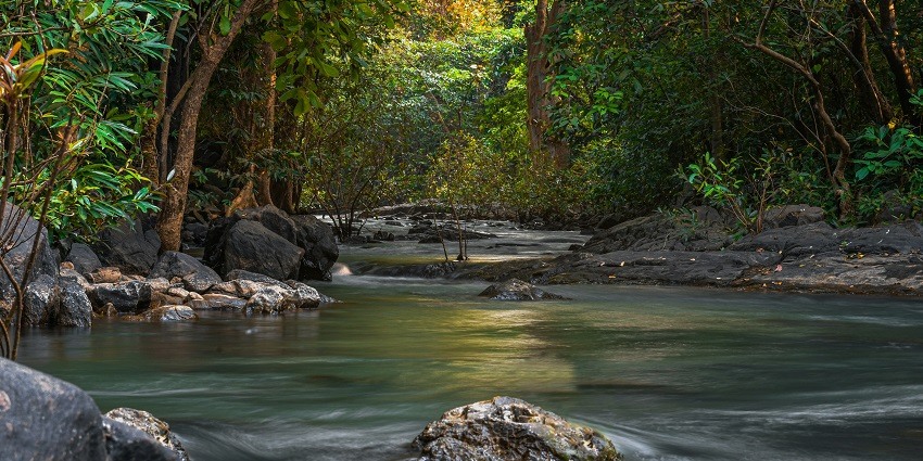 A breathtaking vista justifying the scenic location of Betla National Park in Jharkhand.