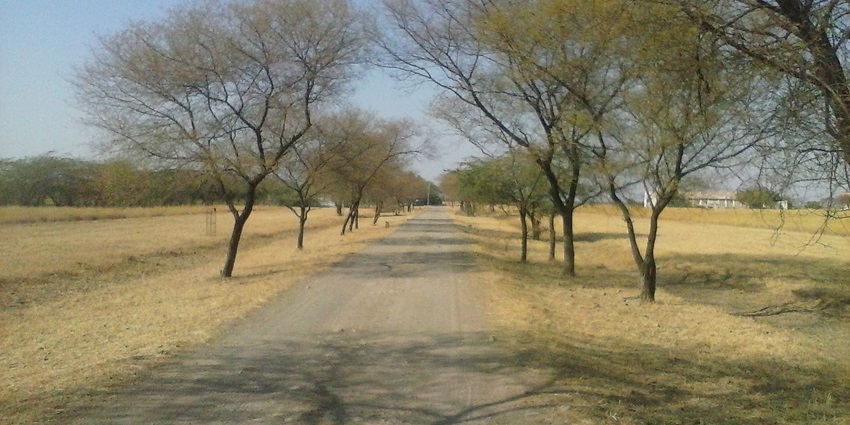 Meadows of Saranthana Nature Park ad a trail leading into the serene garden