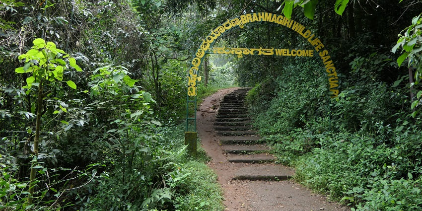 The location of the Brahmagiri Wildlife Sanctuary is easily accessible from nearby areas.