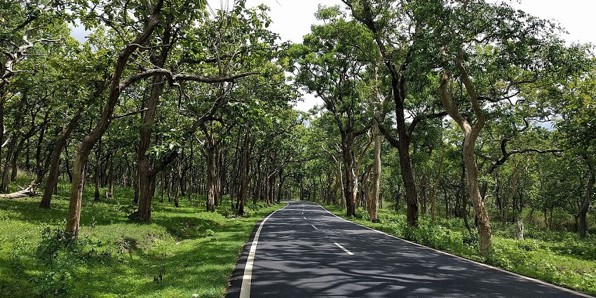 The road towards the Bandipur Wildlife Sanctuary is easy to navigate for tourists.