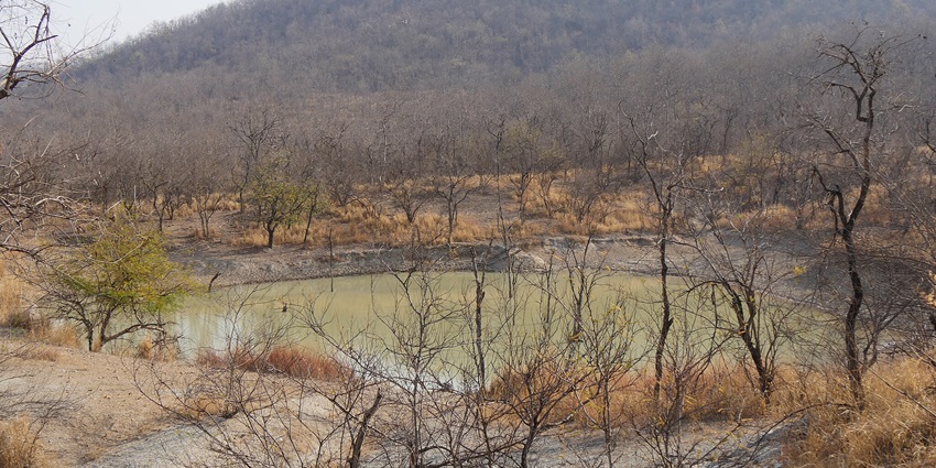 A serene view of Panna Wildlife Sanctuary amidst hilly terrain