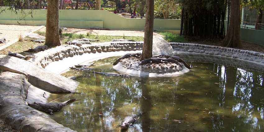 This biological park is located in Bangalore’s Urban district and is a sight to behold