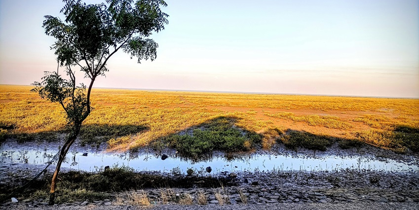 A scenic landscape justifying the serene location of Thol Lake Wildlife Sanctuary.