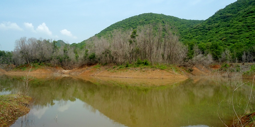 Image of a wildlife sanctuary near the lake, hills reflecting on the water