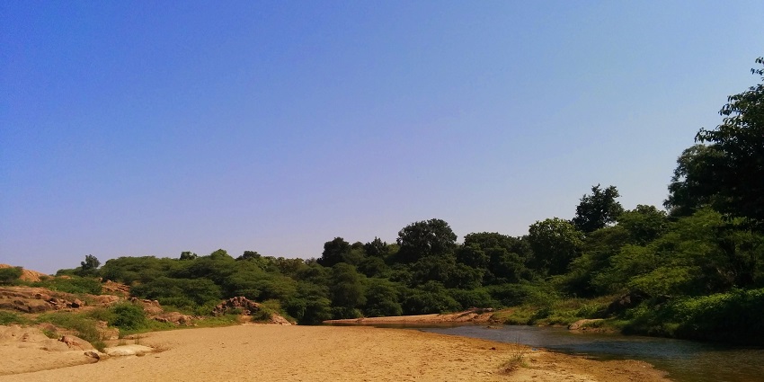 Shores of Balaram river flowing through Balaram Ambaji Wildlife Sanctuary.