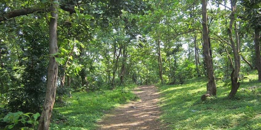 A scenic path to the Mitiyala Wildlife Sanctuary.