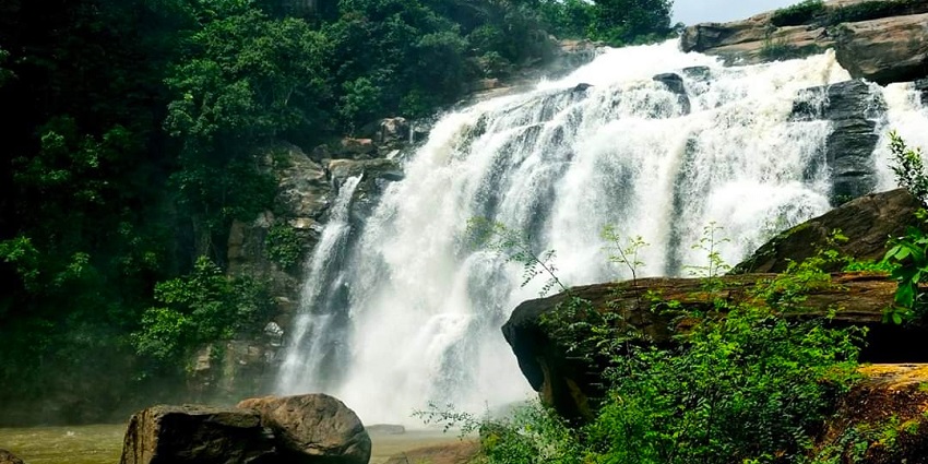 Scenic view of the silver water cascading down the rocks encircled by lush greenery