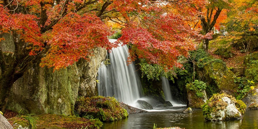 A close-up view of cascading waterfalls, showcasing the dynamic flow of water