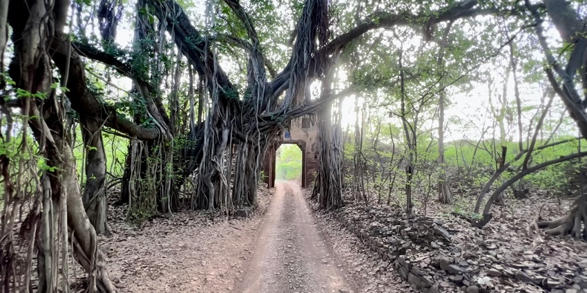 A scenic landscape justifying the serene location of the famous Sawai Madhopur Fort.