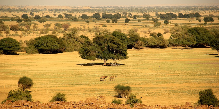 Dried lake is seen from Khaba Fort in the Khaba village.