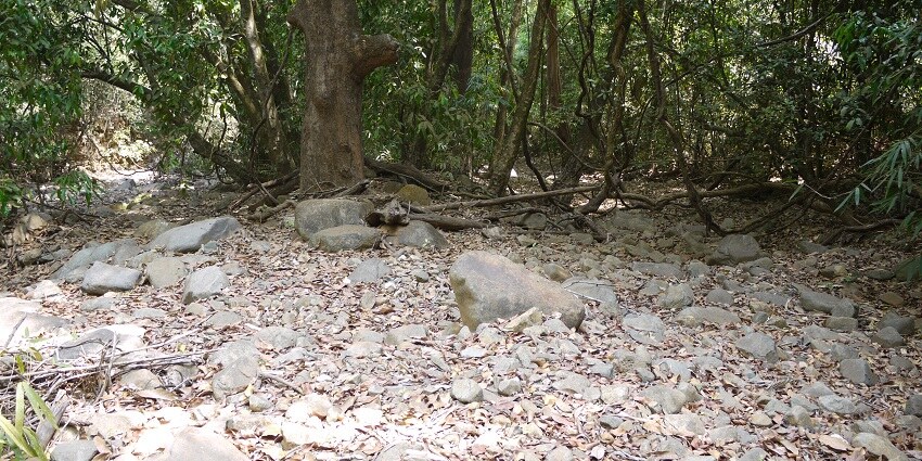 Scenic beauty of Mollem National Park with dense forests and rocky terrain.