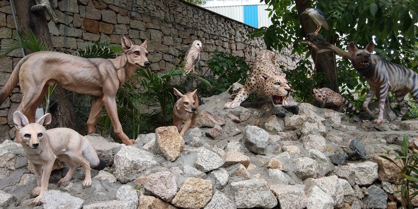 Kankaria Zoo features wildlife statues.