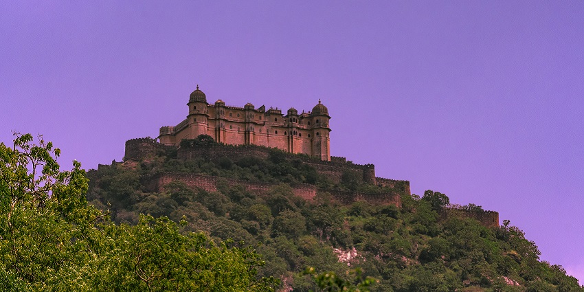 Kumbhalgarh Wildlife Sanctuary offers night safaris showcasing diverse wildlife.