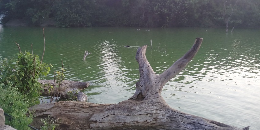 Located inside the Tilyar Lake complex, the zoo in Rohtak is a must-visit attraction.