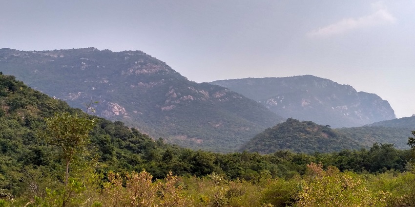 Picturesque view around the trekking route of Nagalapuram hills in Andhra Pradesh