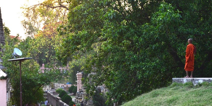 Area near Mahabodhi Temple with its towering structure and surrounded by greenery.