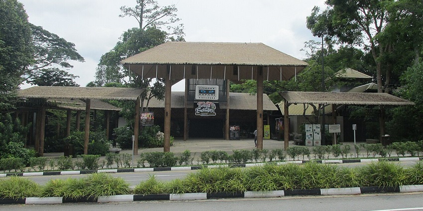 An image of the Night Safari featuring a welcoming archway and lush tropical landscaping.