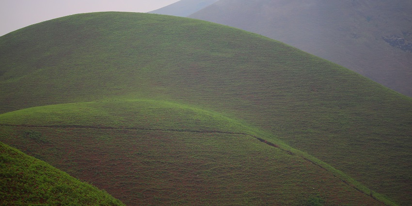 Kudremukh National Park is located in Dakshina Kannada.