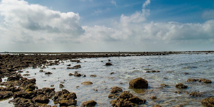 The coastline of Marine National Park in India.
