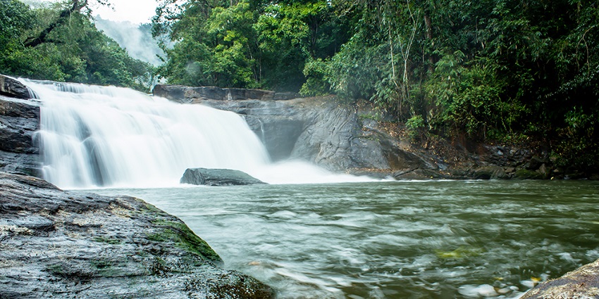 navigate through the Kaliyar Forest to reach the cascading Thommankuthu Waterfalls.